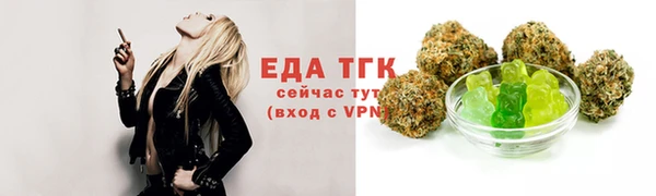 mdpv Богородицк